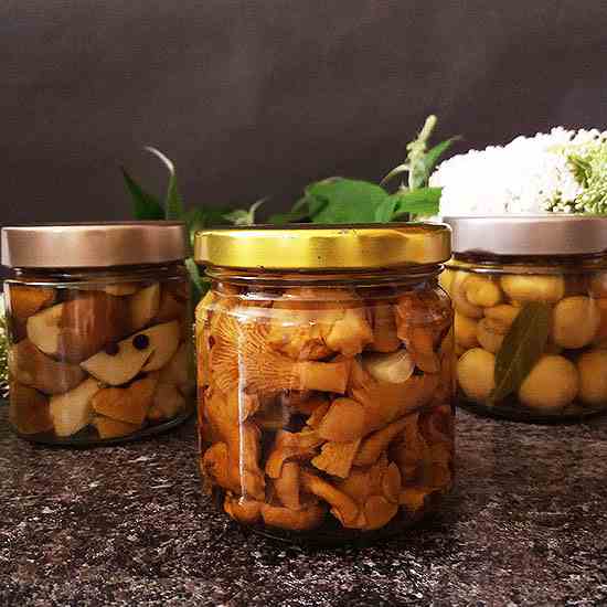 Pickled Mushrooms Recipe