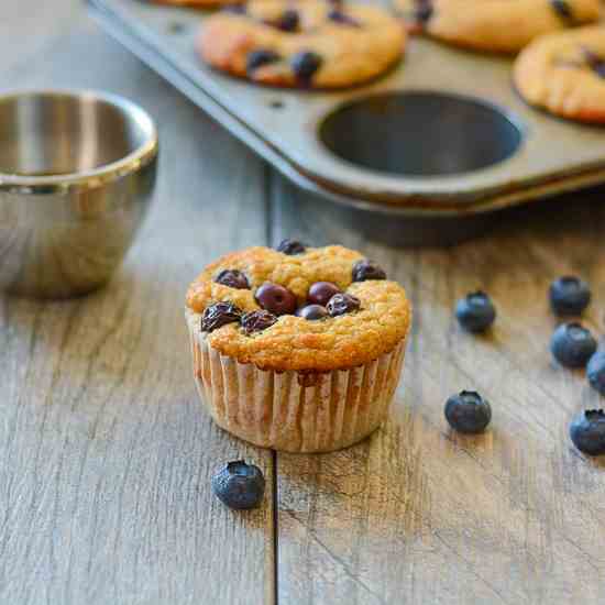 Blueberry Protein Muffins