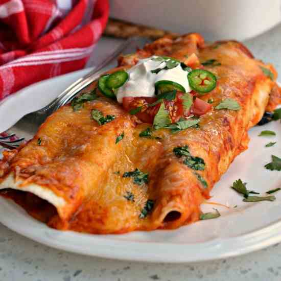 Chicken Enchiladas