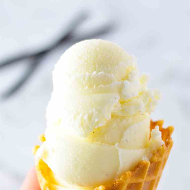 Vanilla Bean Ice Cream