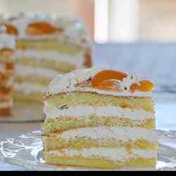 Apricot Sponge Cake Recipe