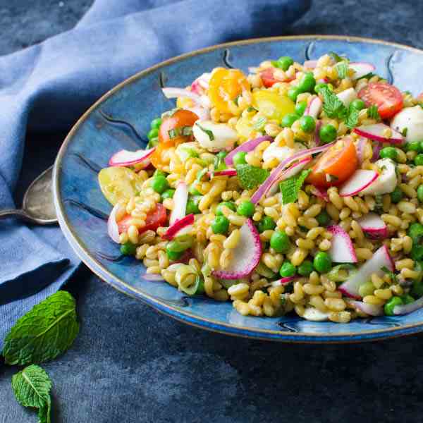 Ancient Grains Salad