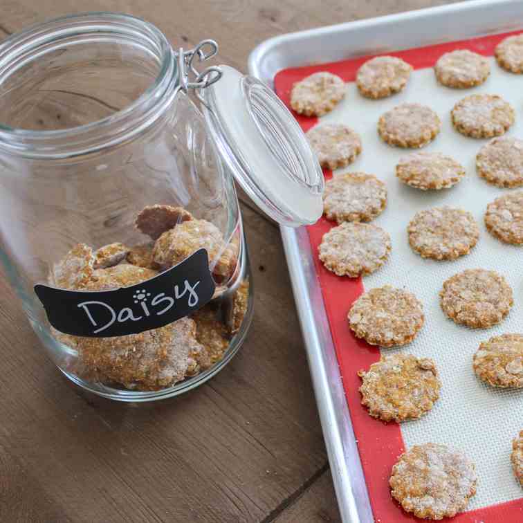 Homemade Pumpkin Dog Treats