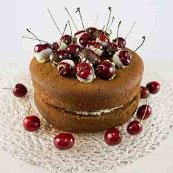Black Forest Gateau with Popping Cherries
