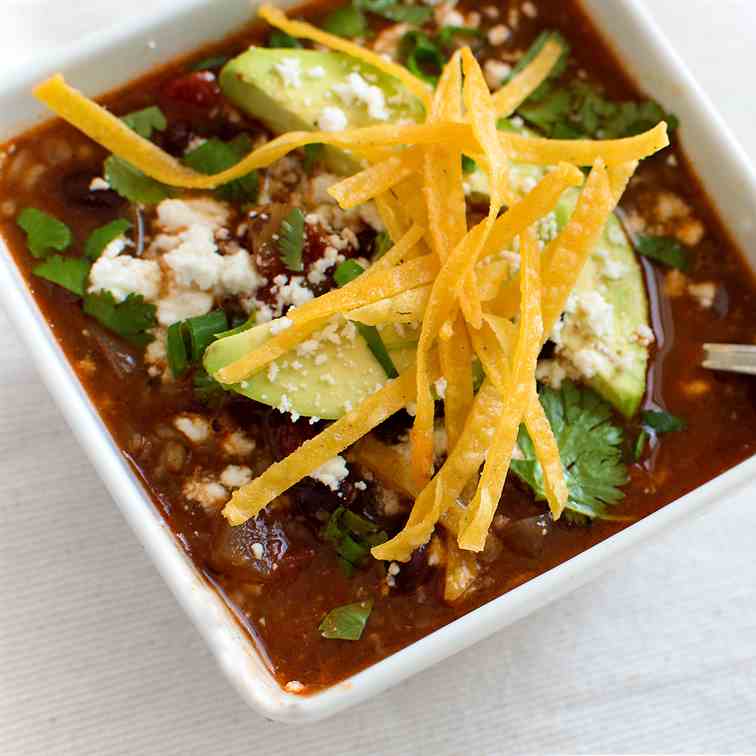 Vegetable Tortilla Stew