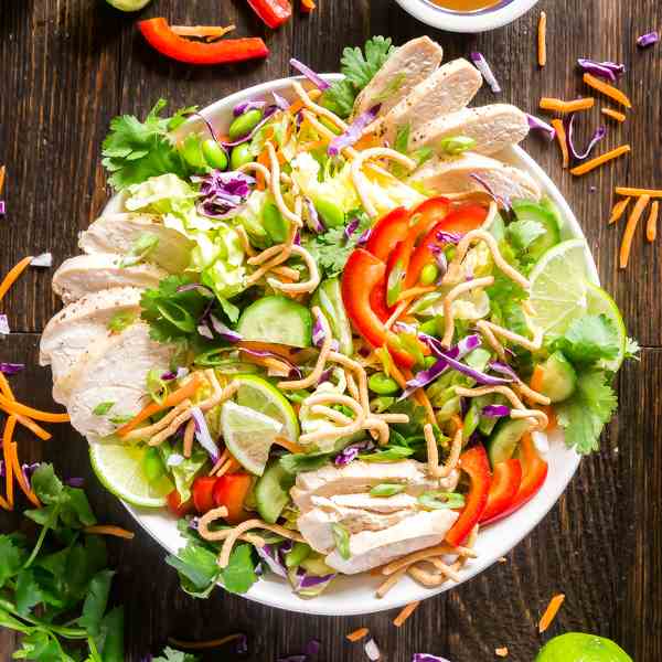 Rainbow Asian Chicken Salad Recipe