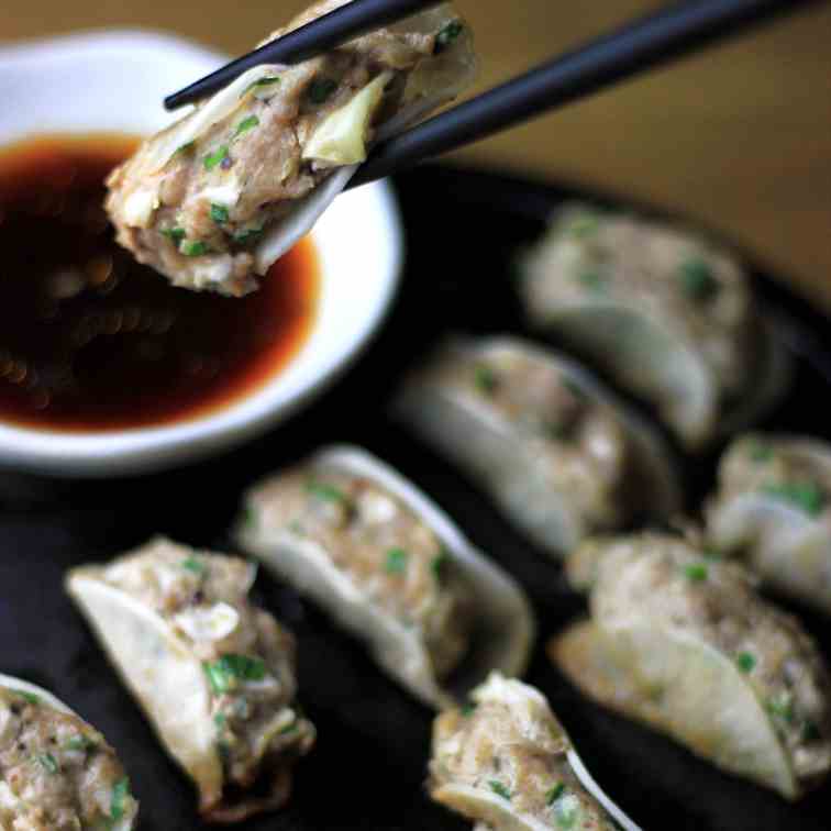 Paleo Low Carb Potstickers