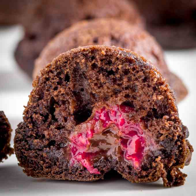 Chocolate Raspberry Bites