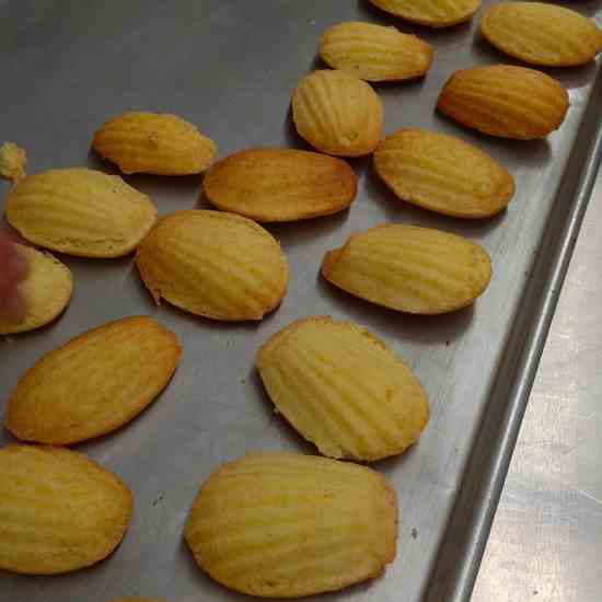 Madeleines