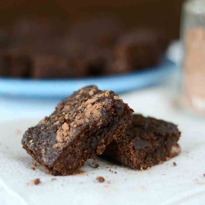 Low Sugar Paleo Brownies