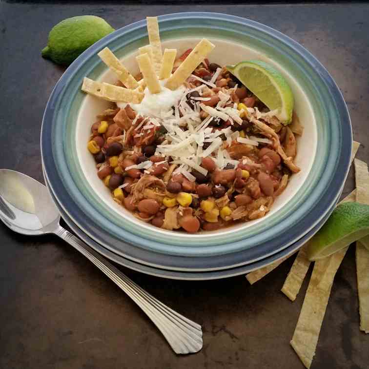 SLOW COOKER CHICKEN TORTILLA SOUP