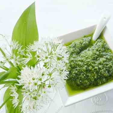 Pesto Recipe - wild garlic & walnut