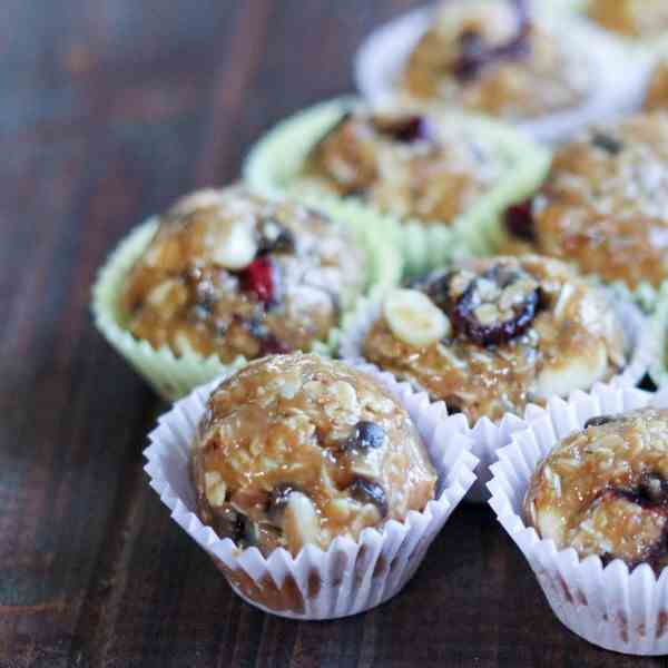 No Bake Cranberry Chocolate Granola Bites