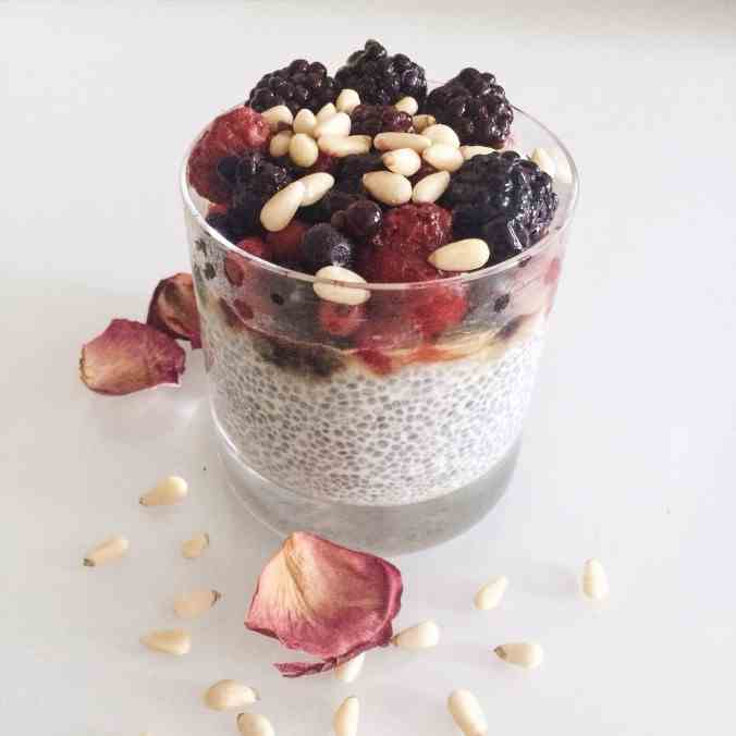 Summer Berry Chia Pudding Recipe