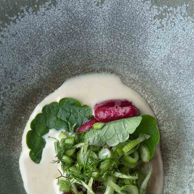 Cherries with Juniper and Yeast Cream