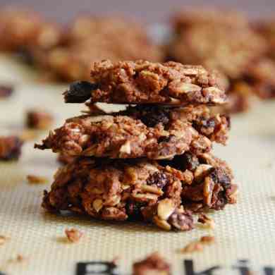 Cozy Honey-Cinnamon Oatmeal Cookies