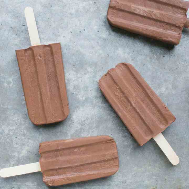 Sugar Free Fudgesicles