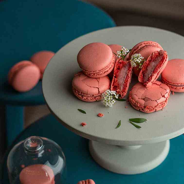 Macaroon with Berries and Mascarpone