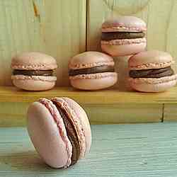 Macarons with chocolate ganache