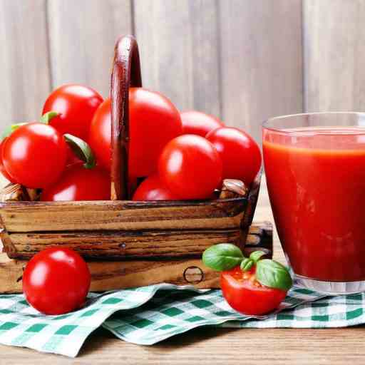 Refreshing Tomato Paleo Smoothie Recipe