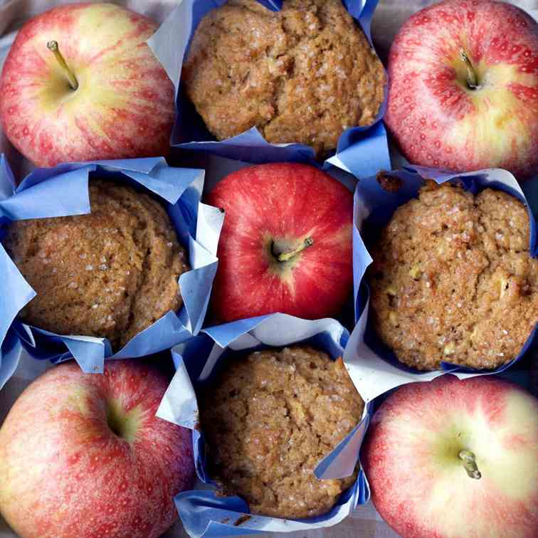 Whole Wheat Apple Cinnamon Muffins