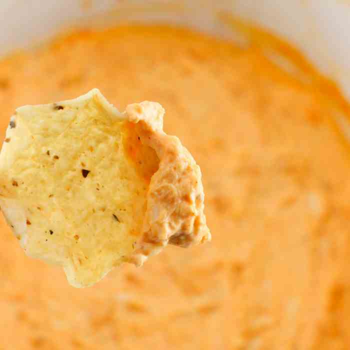 Slow Cooker Buffalo Chicken Dip 