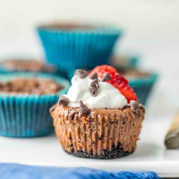 Mini Nutella Cheesecakes