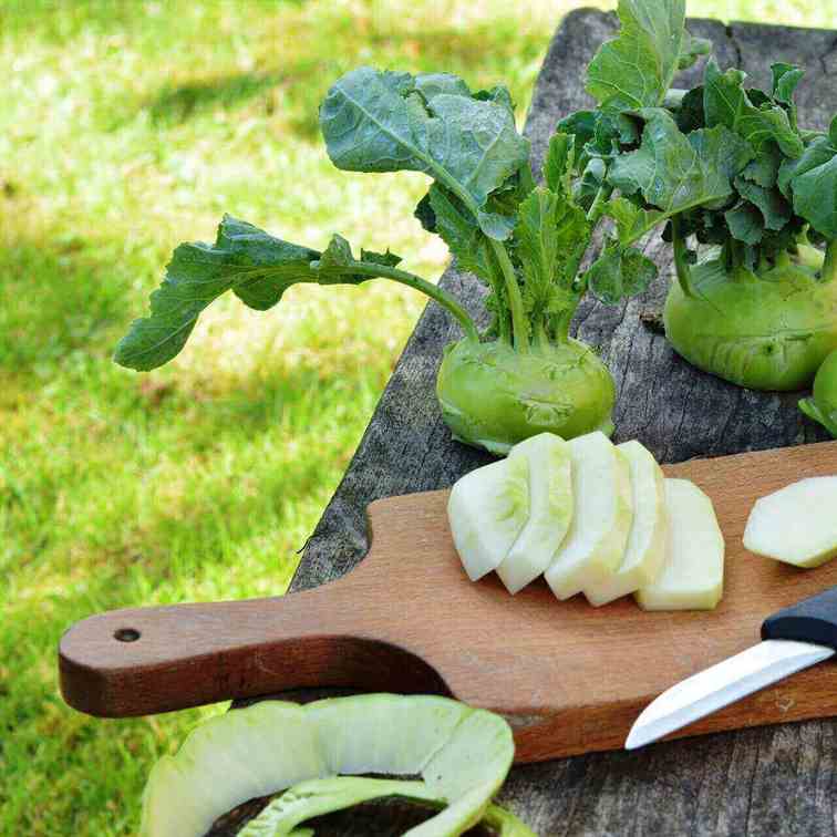 Kohlrabi Soup