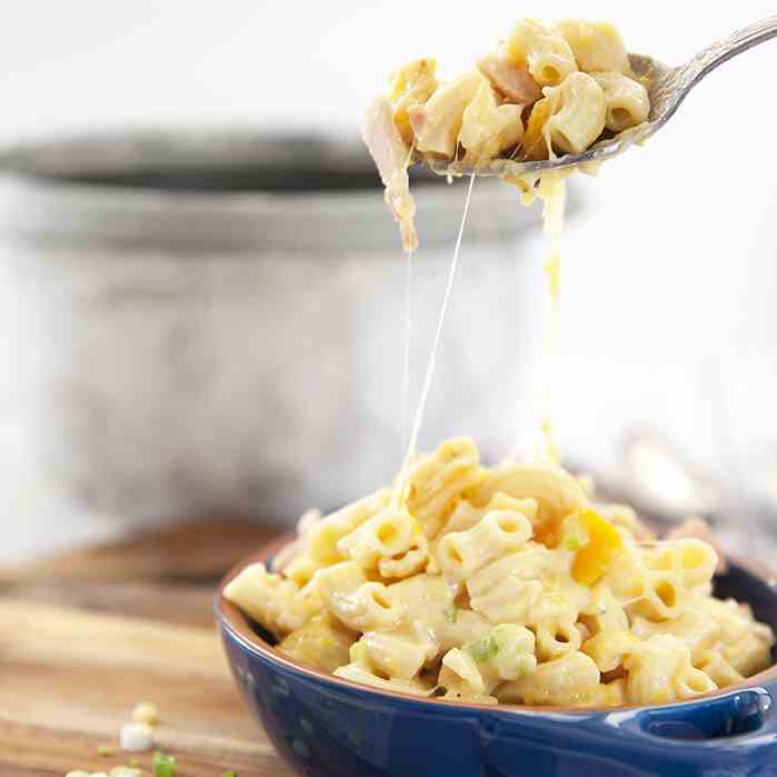 Macaroni - Cheese in a Rice Cooker