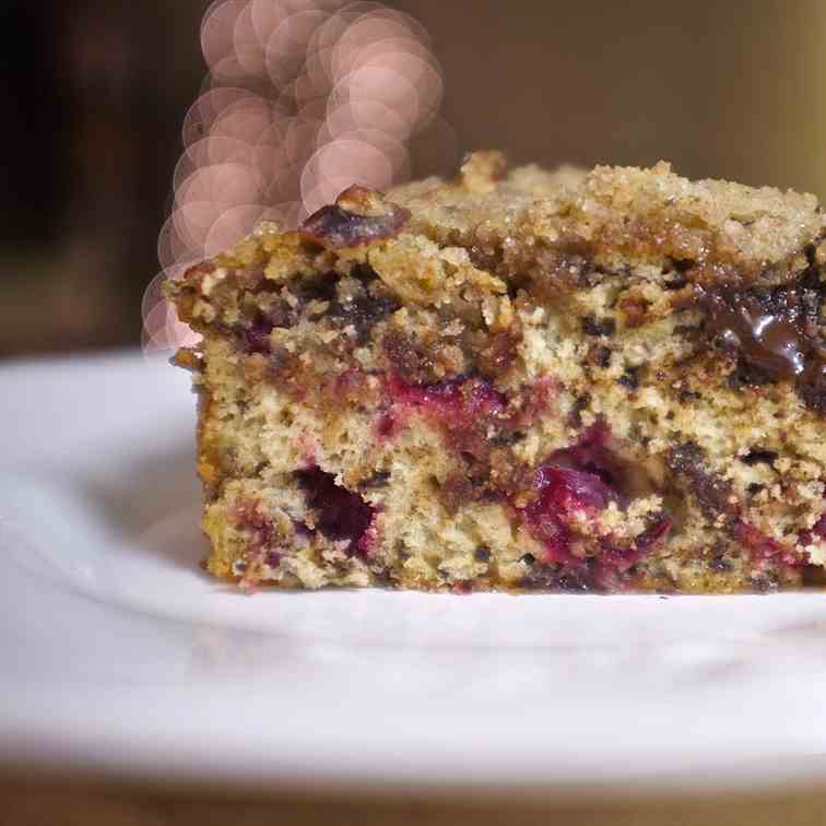 Dark Chocolate Cranberry Crumble Cake