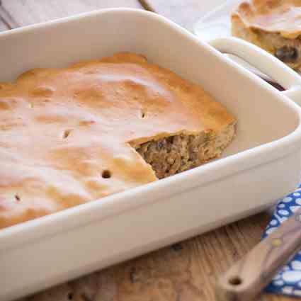 Spicy Stroganoff Squares