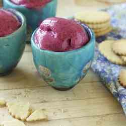 Berry Sorbet - Vanilla Shortbread Cookies