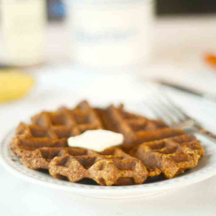 Single Serving Paleo Pumpkin Waffle