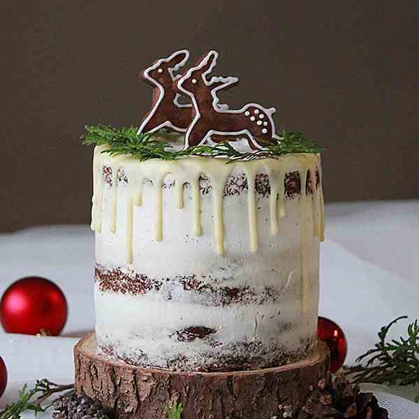 Chocolate snow cake