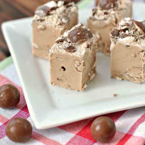 Malt Ball Fudge