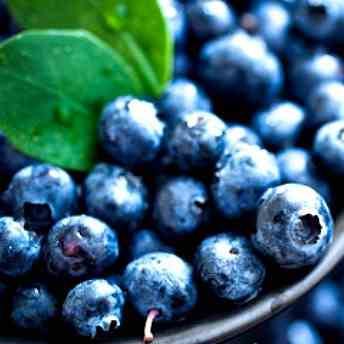 Bursting with 10 Blueberry Recipes!