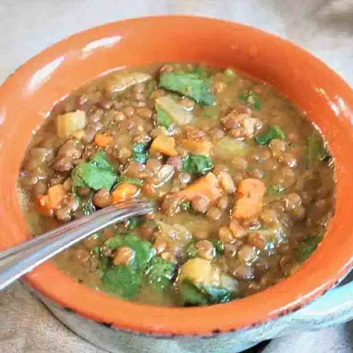 Hearty Brown Lentil Soup 