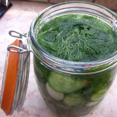 Delicious Dill Pickels - with video