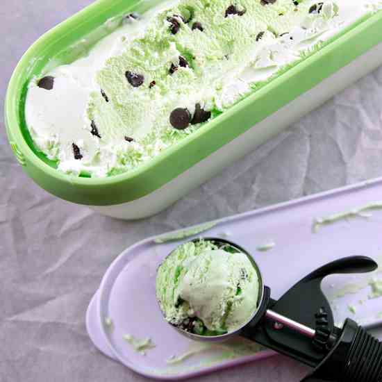 Mint Chocolate Chip Ice Cream